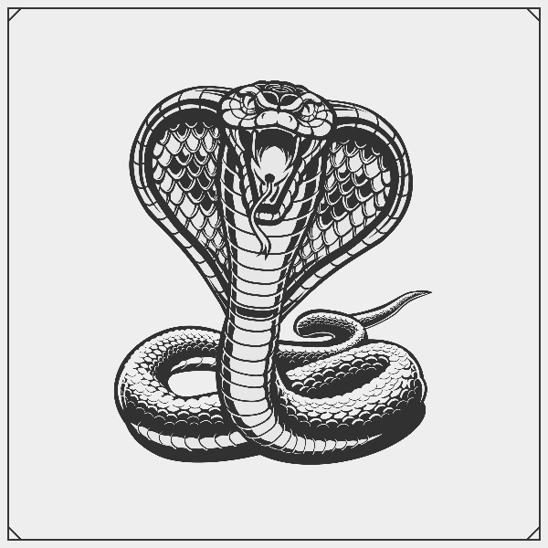 Cobra Kai Snake Drawing